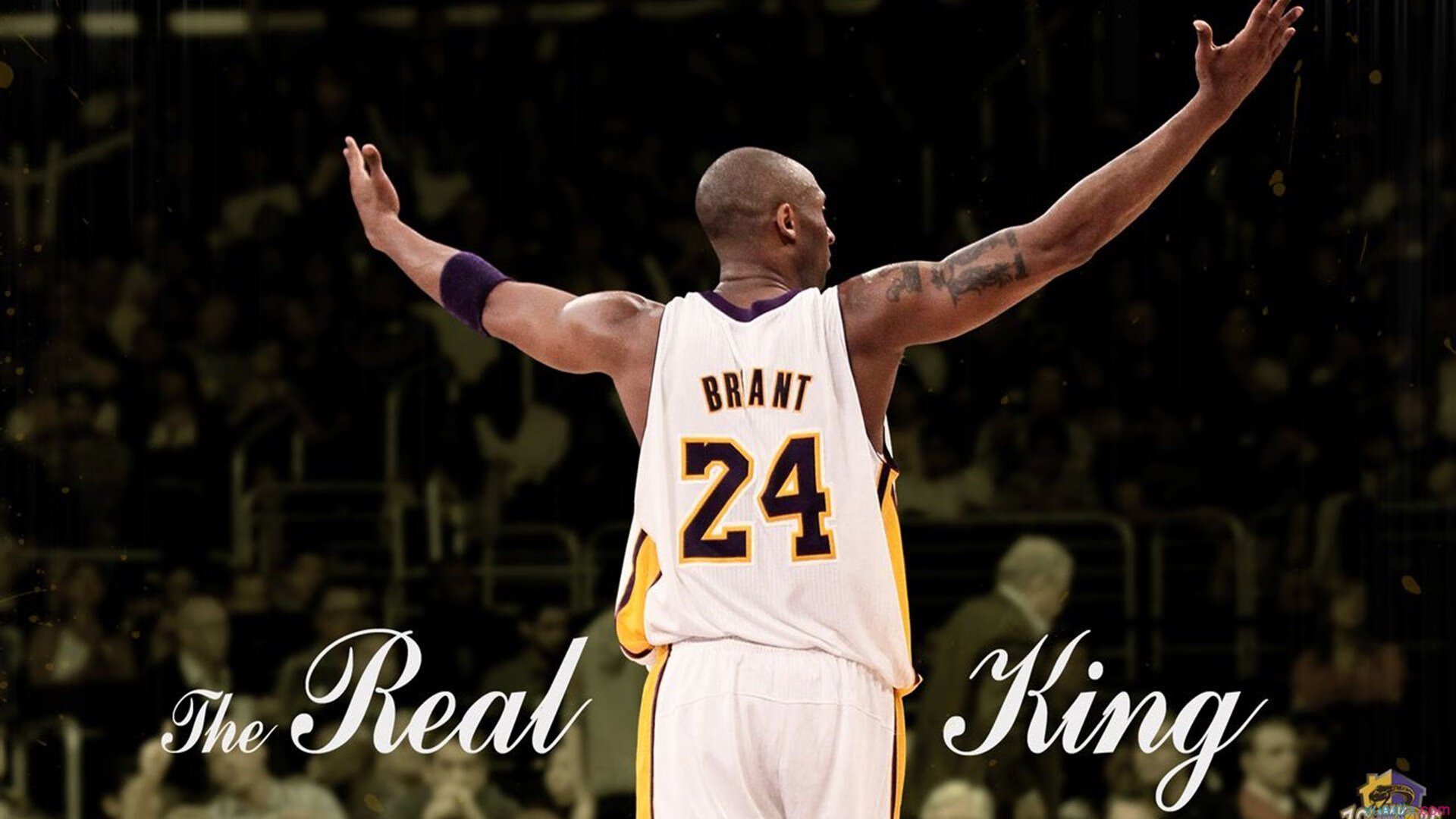 传奇球星的“新使命”：从球场到公益的全面转型，球星公司